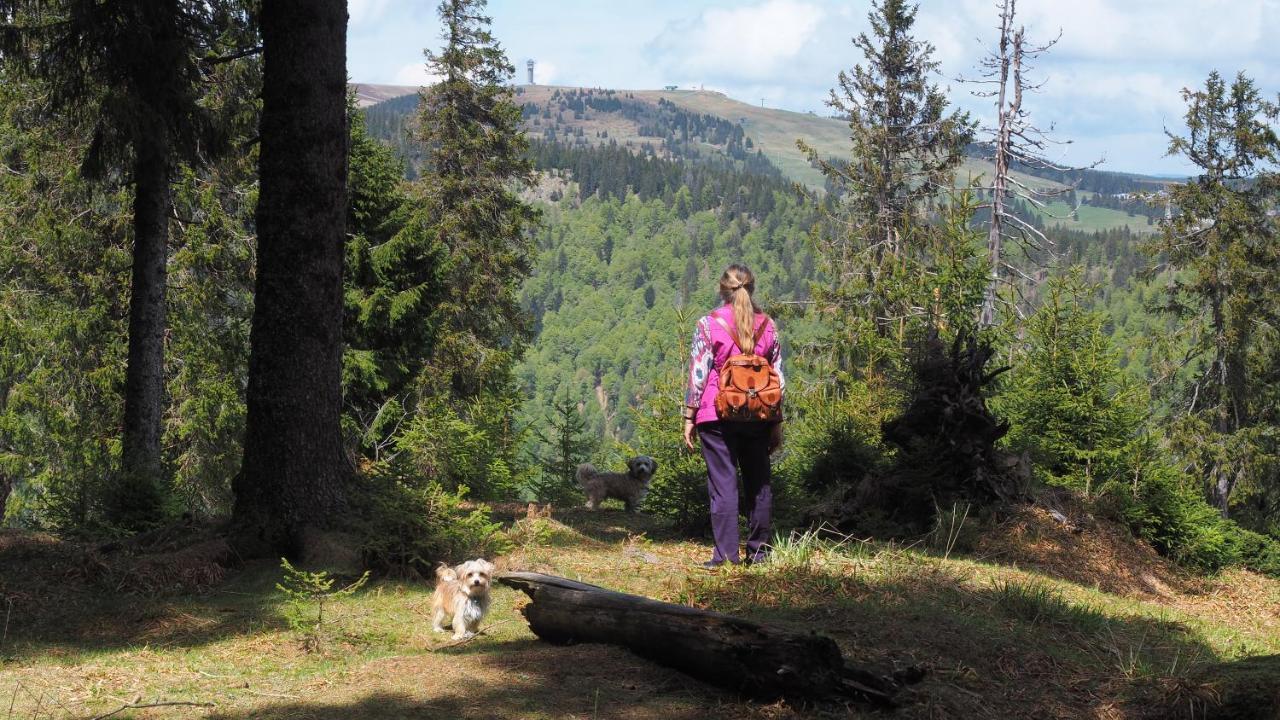 C2 Albmatte-Fewo , Hallenbad Aussenbecken Massagen Nebenan St. Blasien Kültér fotó
