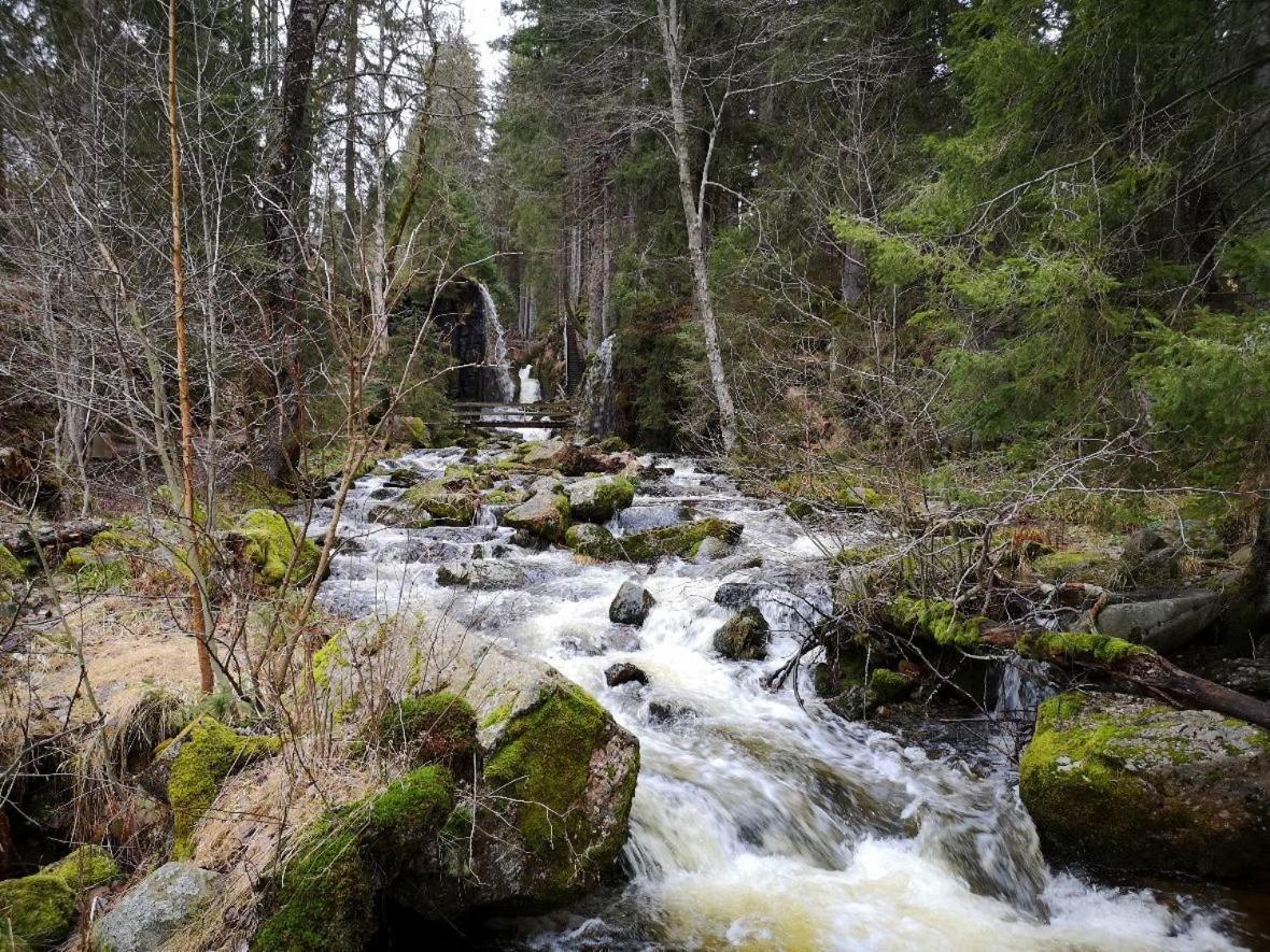 C2 Albmatte-Fewo , Hallenbad Aussenbecken Massagen Nebenan St. Blasien Kültér fotó
