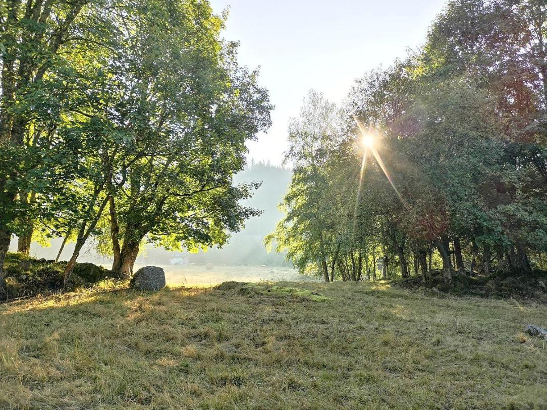 C2 Albmatte-Fewo , Hallenbad Aussenbecken Massagen Nebenan St. Blasien Kültér fotó