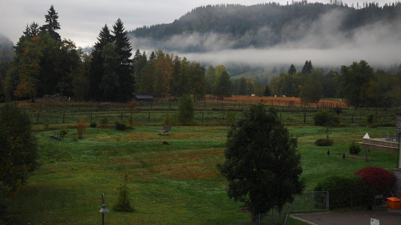 C2 Albmatte-Fewo , Hallenbad Aussenbecken Massagen Nebenan St. Blasien Kültér fotó