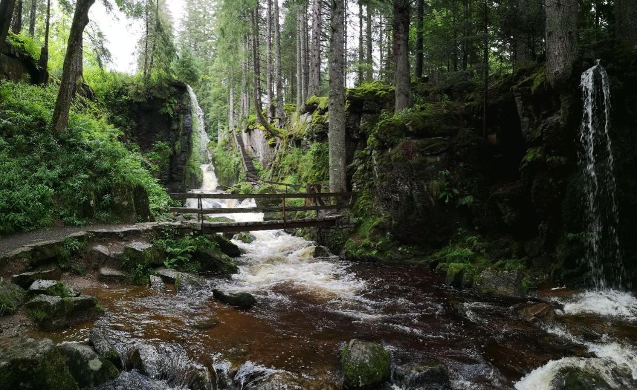 C2 Albmatte-Fewo , Hallenbad Aussenbecken Massagen Nebenan St. Blasien Kültér fotó