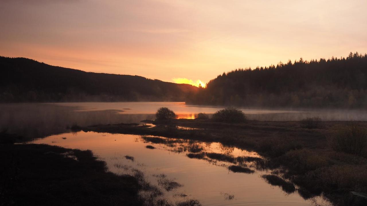 C2 Albmatte-Fewo , Hallenbad Aussenbecken Massagen Nebenan St. Blasien Kültér fotó