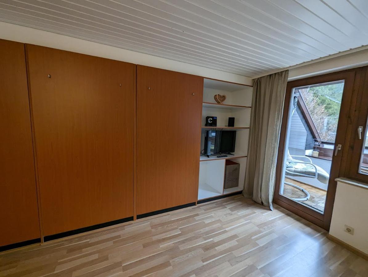 C2 Albmatte-Fewo , Hallenbad Aussenbecken Massagen Nebenan St. Blasien Kültér fotó