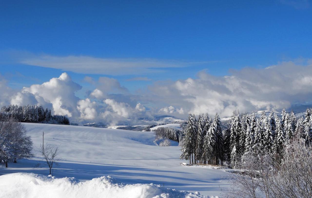 C2 Albmatte-Fewo , Hallenbad Aussenbecken Massagen Nebenan St. Blasien Kültér fotó