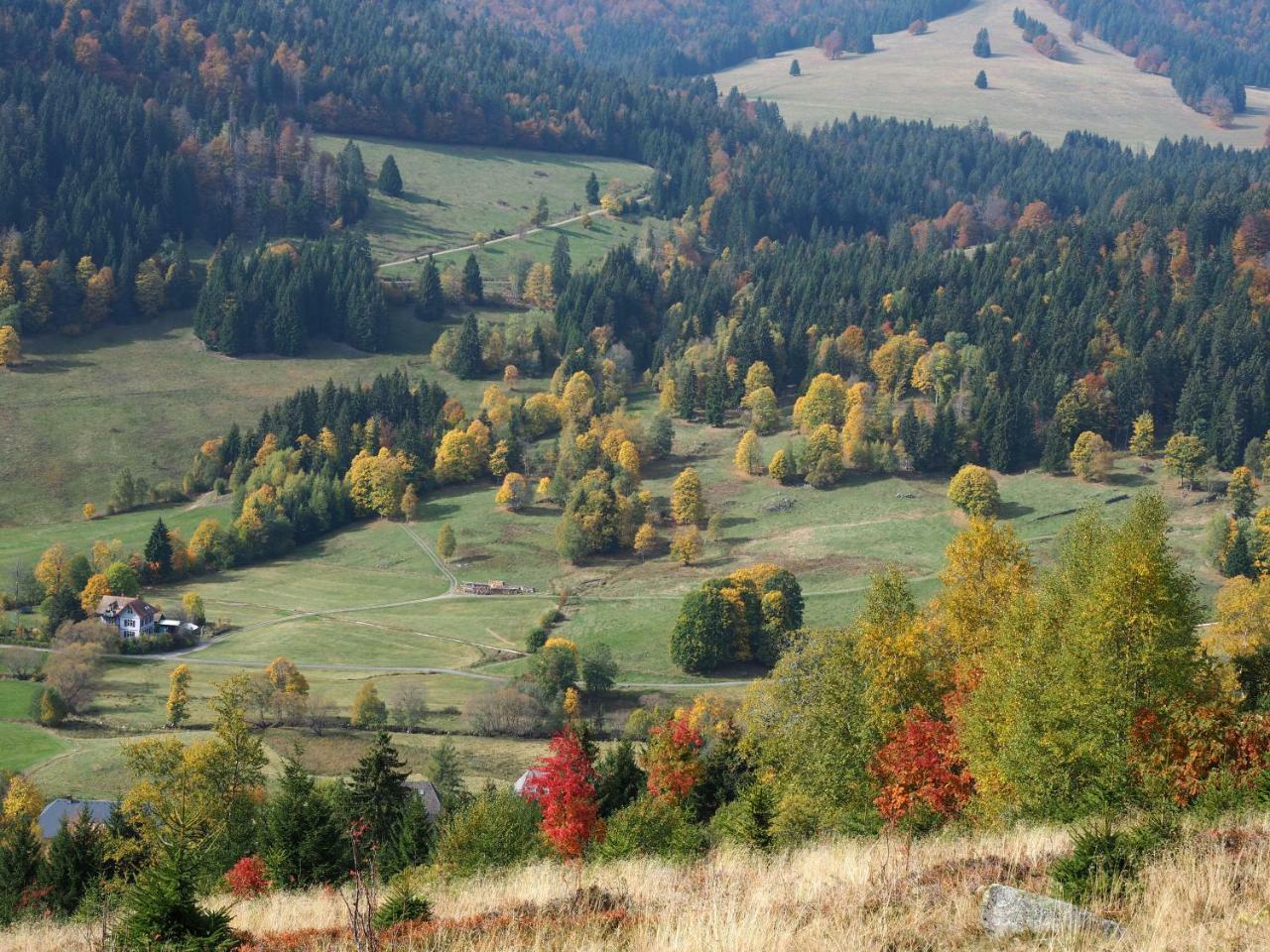 C2 Albmatte-Fewo , Hallenbad Aussenbecken Massagen Nebenan St. Blasien Kültér fotó