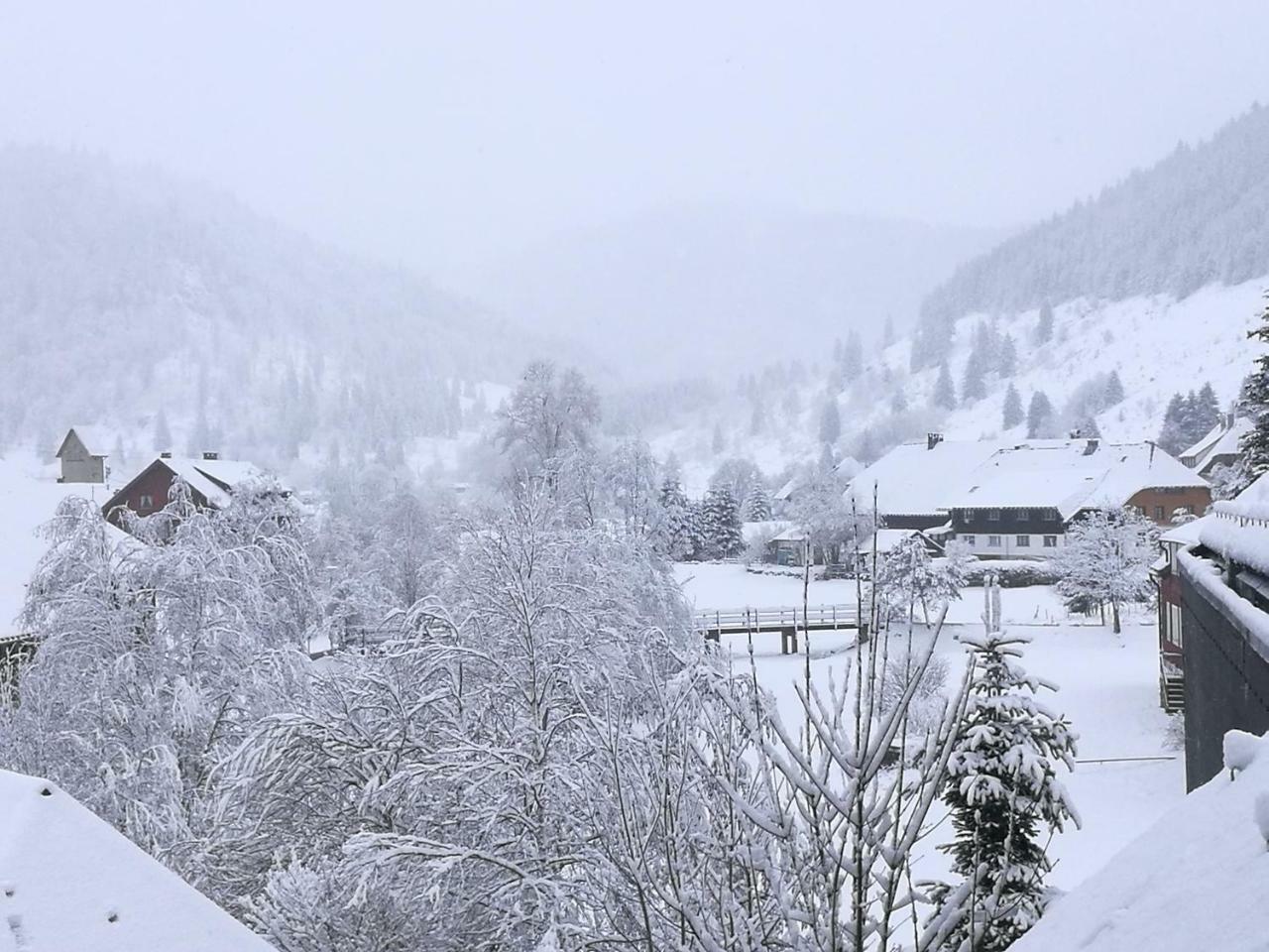 C2 Albmatte-Fewo , Hallenbad Aussenbecken Massagen Nebenan St. Blasien Kültér fotó
