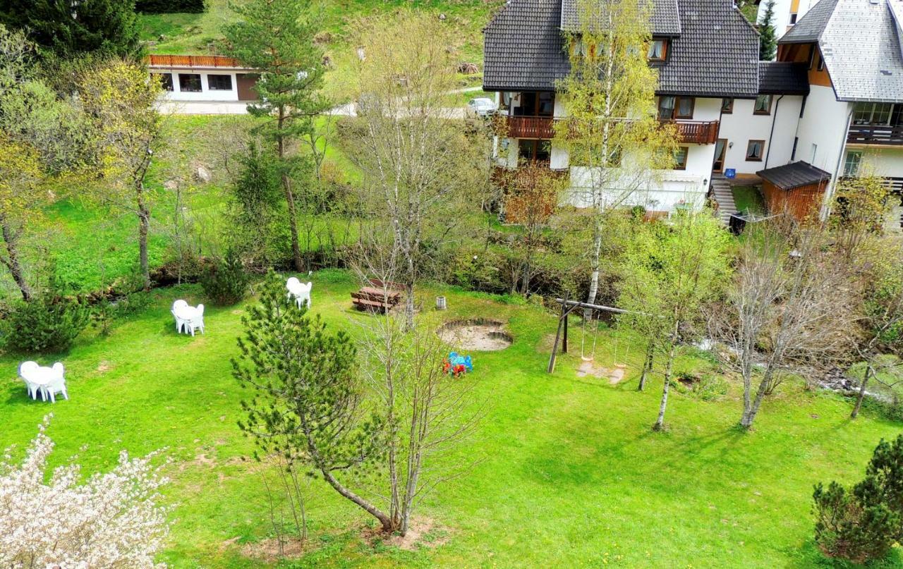 C2 Albmatte-Fewo , Hallenbad Aussenbecken Massagen Nebenan St. Blasien Kültér fotó