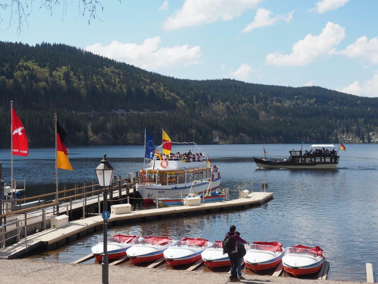C2 Albmatte-Fewo , Hallenbad Aussenbecken Massagen Nebenan St. Blasien Kültér fotó