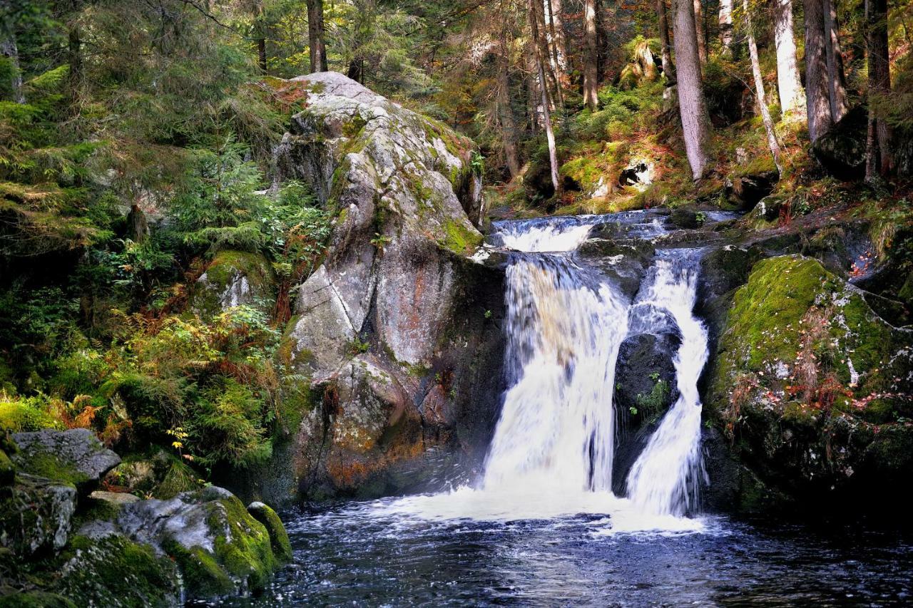 C2 Albmatte-Fewo , Hallenbad Aussenbecken Massagen Nebenan St. Blasien Kültér fotó